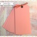 40 Large Pink Shipping Tags for Scrapbooking, Embellishment, Mini Albums, Paper Crafting by Jodie Lee.