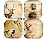 Butterfly Coaster, Deer Coasters, Bird's Nest Coaster, Set of 4, Nature, Animal, Shabby Chic - missbohemia
