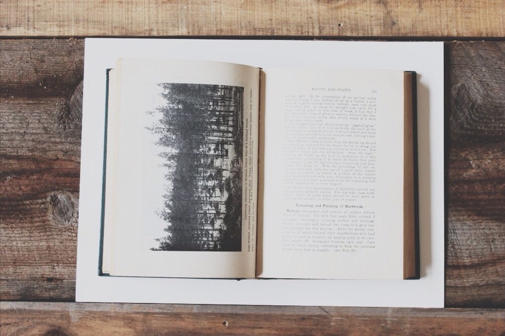 Antique Architecture Text Book: "Lumber and Its Uses"