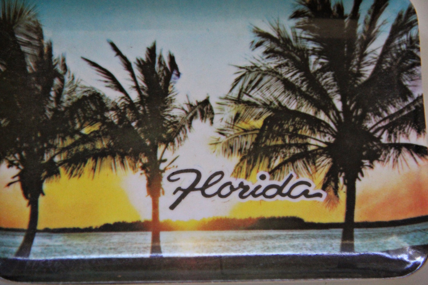 Florida / St. Augustine Collectible Vintage Souvenir Trays