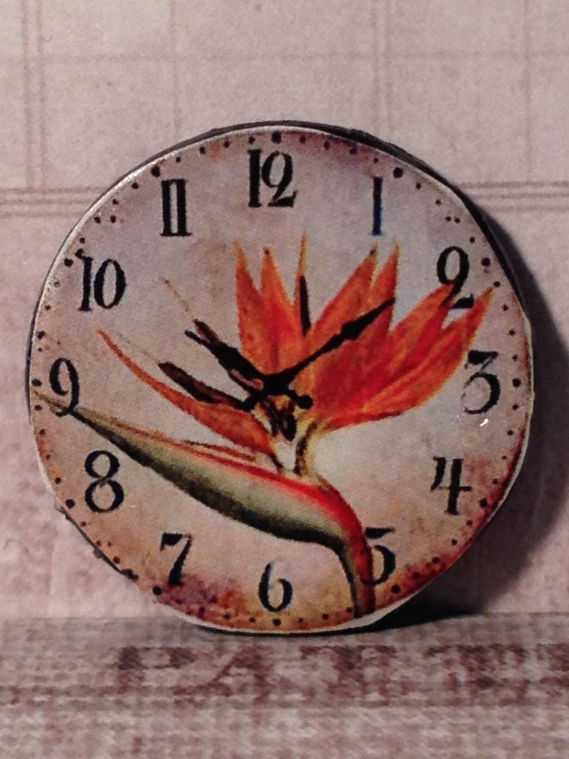 Dollhouse More Miniature "The Exotic Bird of Paradise" Wall Clock, Scale One Inch