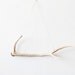 3 Point Axis Antler Drop Deer Shed