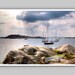 Swedish Spring - Photography 8x12" print 20x30cm