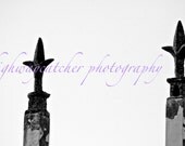 Black and White Gate Fleur Digital Image Photography Download