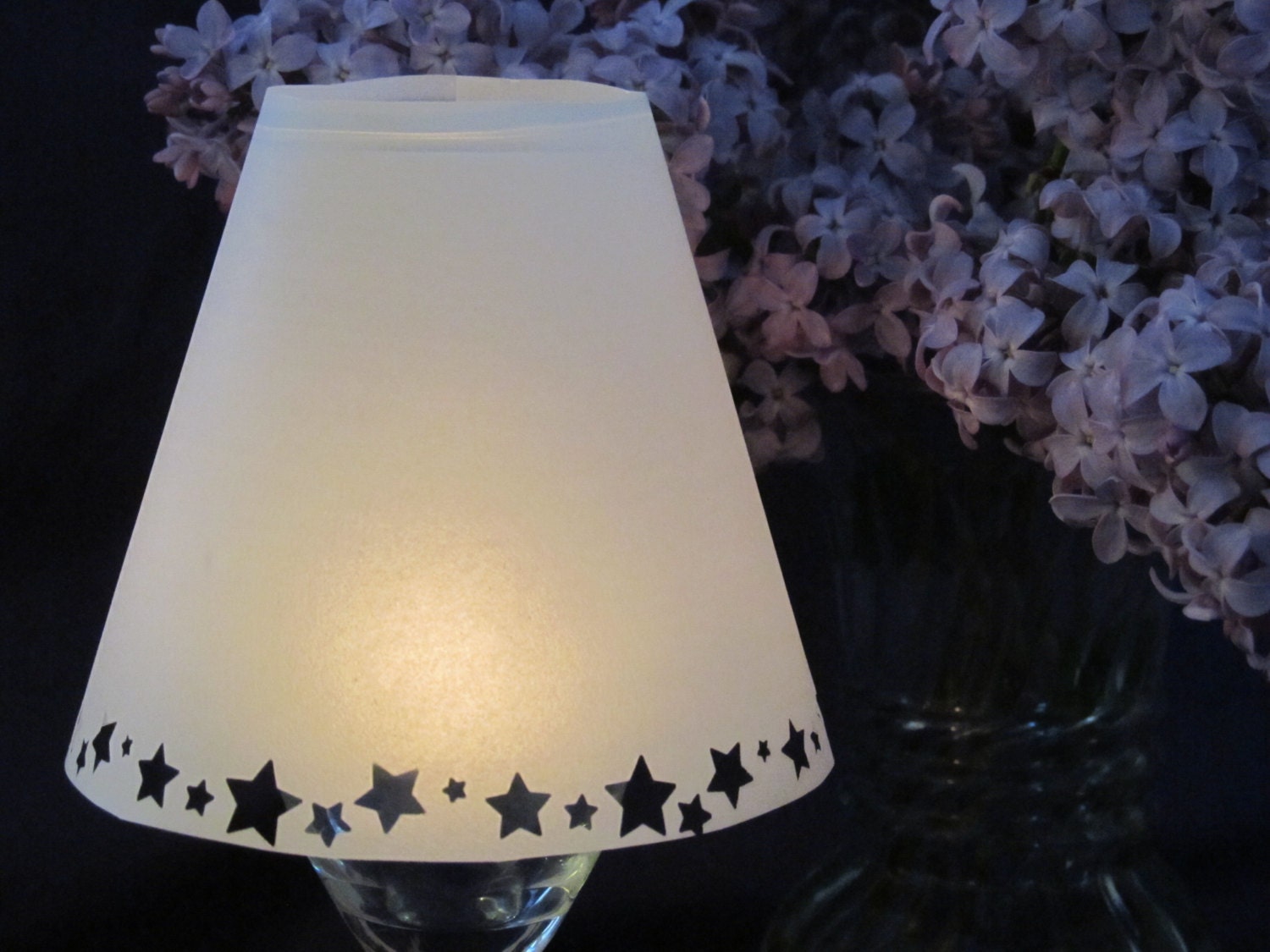 Vellum Luminary Shades with Stars - Set of 20 Shades