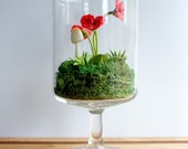 Tiny Red Pansy Woodland Terrarium in Repurposed Glass