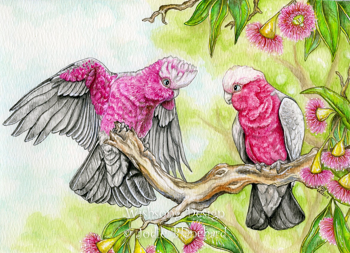 Children's painting - kids wall art - cockatoo painting - pink and grey galah's - Australian birds - 8.5 x 12 inch print