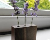 Walnut test tube bud vase - limited quantities, Eco friendly, locally salvaged