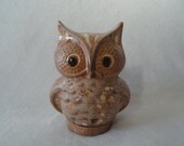 Hide n Seek Owl