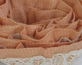 2 Yards of Dotted Cotton Trim With Cluny Lace - Dark Peach With Cream - Gathered/Ruffled - NOS Vintage Supplies