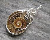 AAA Ammonite Nautilus Fossil Spiral Pendant, Wire Wrapped