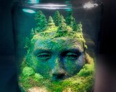 Ancient Goddess Ruins - Fantasy Forest - Terrarium / Diorama
