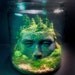 Ancient Goddess Ruins - Fantasy Forest - Terrarium / Diorama