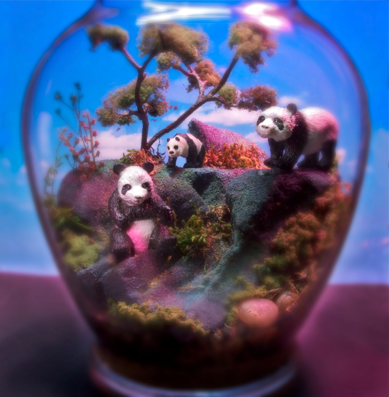 Happy Panda Tree - Miniature Zen Garden - Terrarium / Diorama