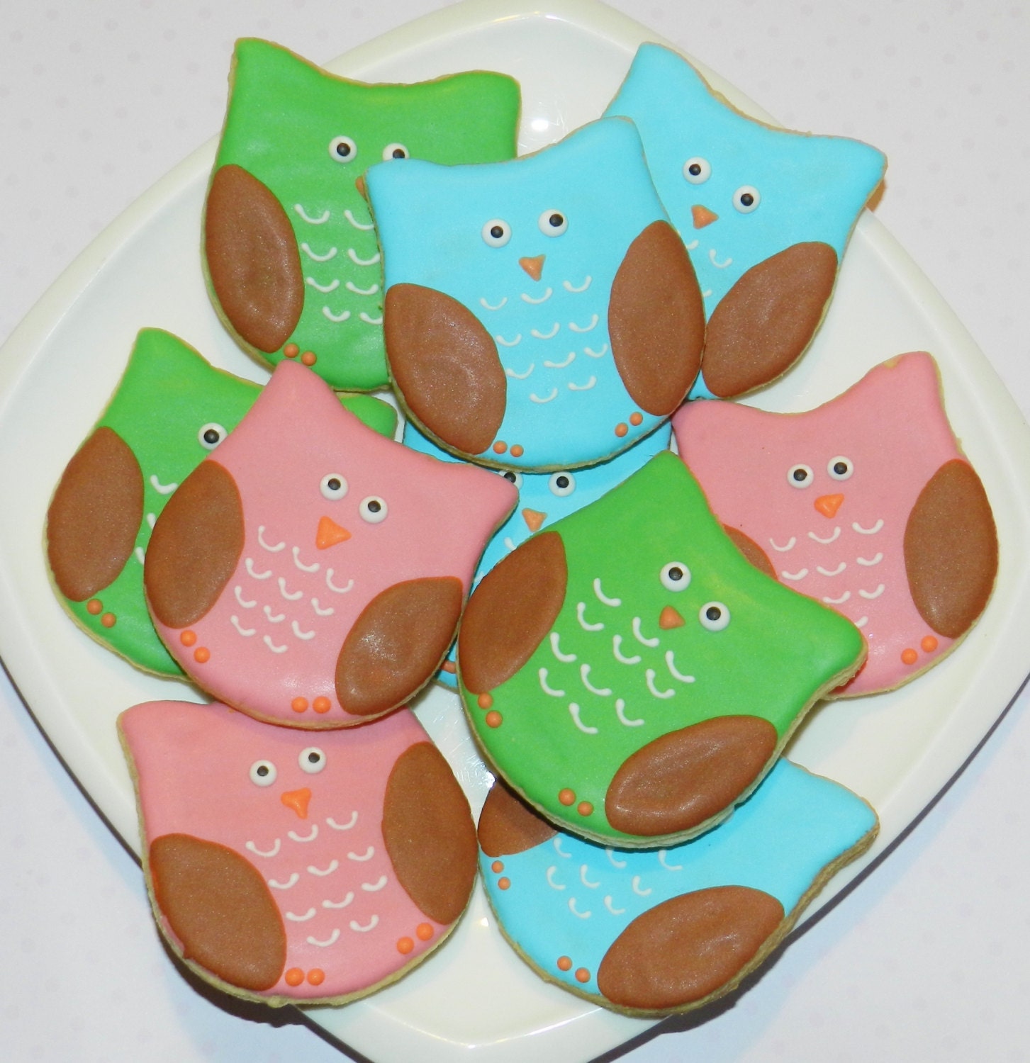 Cute Owl Cookies 1 Dozen