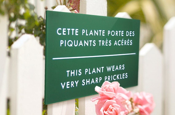 Funny sign for Flower gardens. Rose bush, Cactus Signage. French Humor. This Plant Wears Prickles