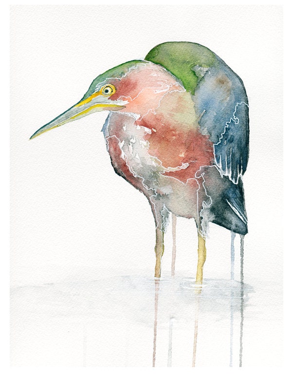 Green Heron 8.5 x 11 Archival Watercolor Print