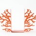 SALE  -  Bookends -Corals- unique, stylish and useful decor bookends