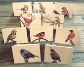 Notecards-Bird Notecard Set-Nature-Bird-Each Card UNIQUE-10 Pack- Blank Inside