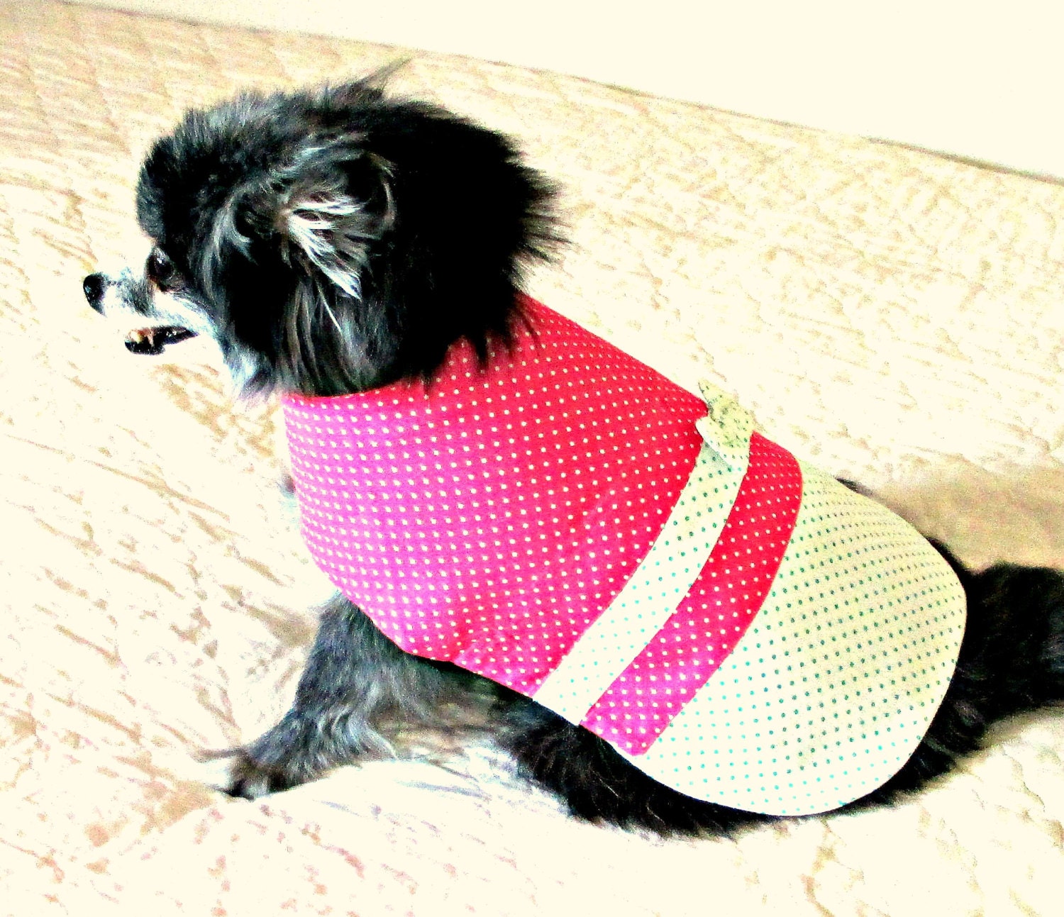 Polka Dotted Small Dog's Dress Custom Order Clothing  - White, Kelly Green & Hot Pink Cotton Bichon