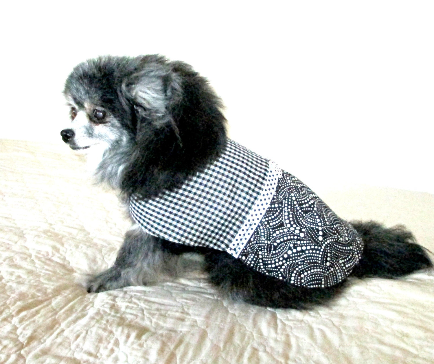 Cotton Small Dog's Dress Pomeranian - Black and White Gingham and Abstract Print with Polka Dot Ribbon