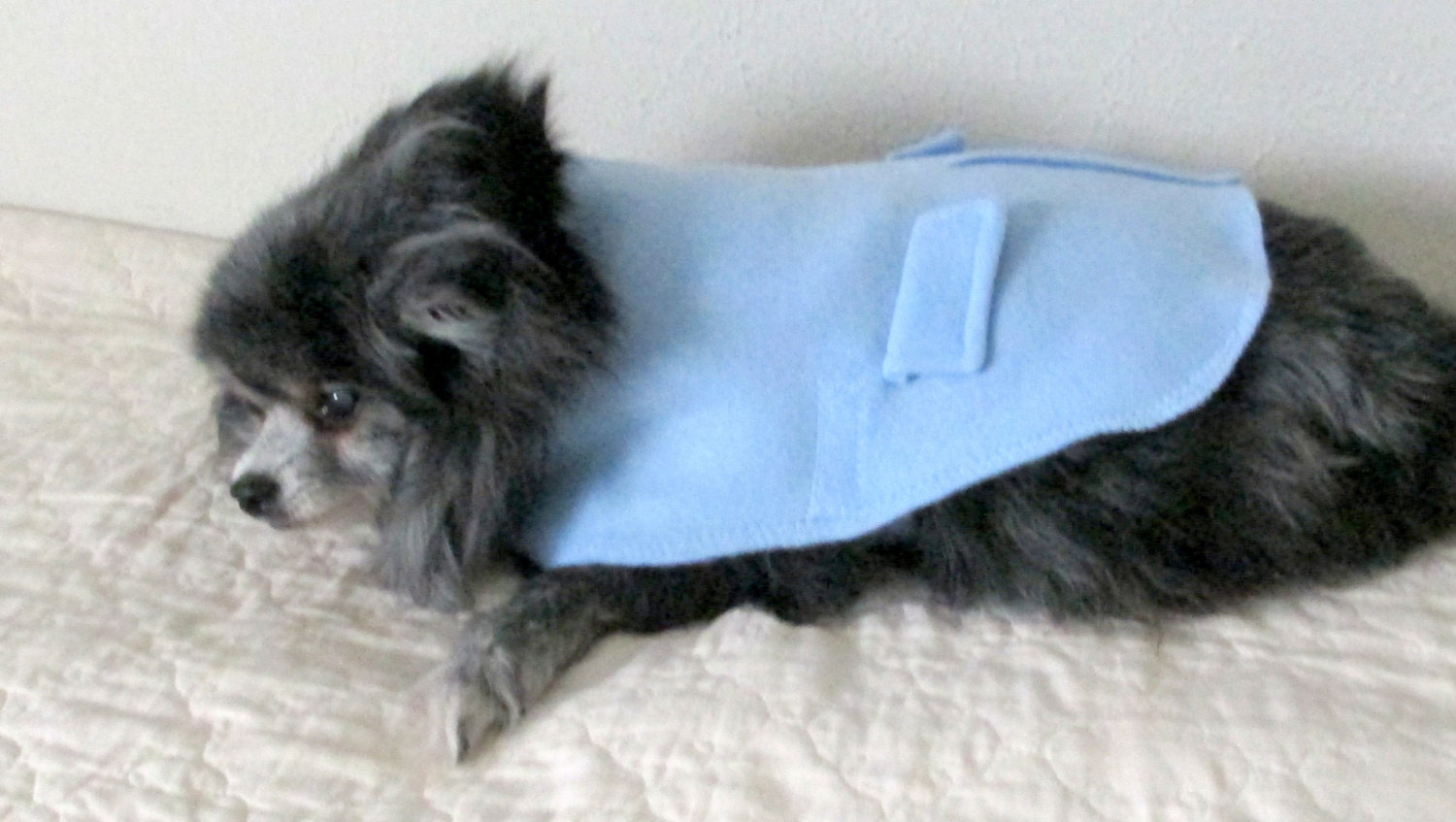 Pomeranian Fleece Coat - Made to Order, Sky Blue with Faux Pocket Flaps & Back Center Vent