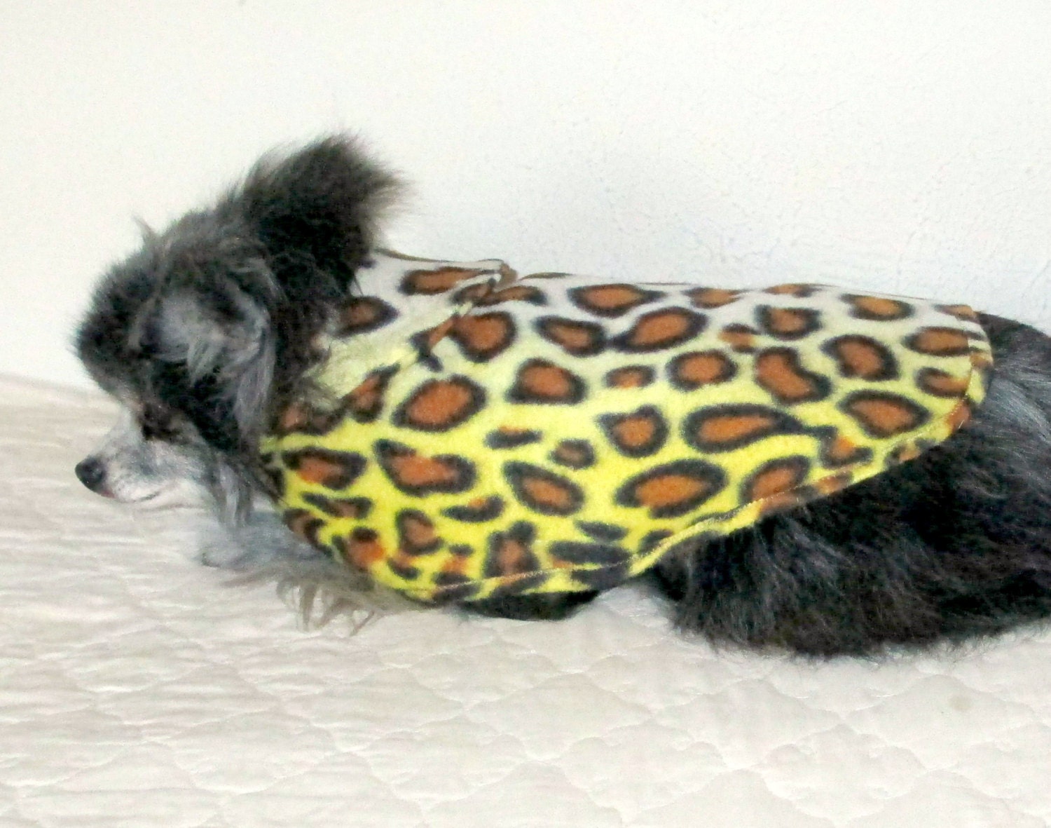 Fleece Coat with Chic Button and Loop for Little Dogs - Chihuahua and  Toy Poodle Size