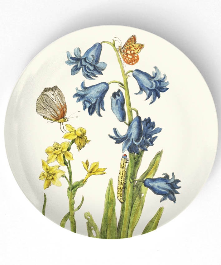 1600's botanical artwork - bluebells - reproduced on 10 inch Melamine Plate