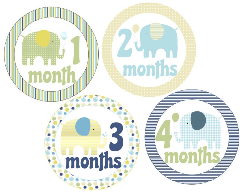 Baby Monthly Onesie Stickers Boy Fun Elephants