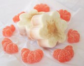Citrus Scrub Soap