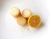 White Chocolate Lemon Truffle Tarts - Mini Citrus Fudge Tartlet Candy - two dozen - BakeAllTheThings