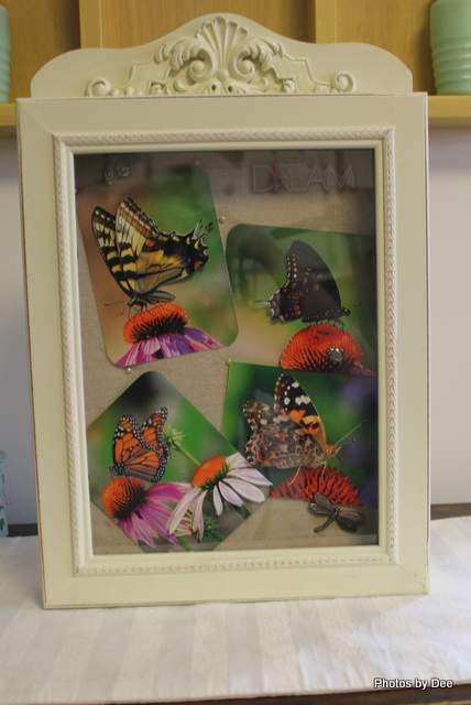 Shadow Box Depicting Butterflies - Dragon Fly - Bumble Bee - Ladybug - Fine Art Nature Photography in 3D