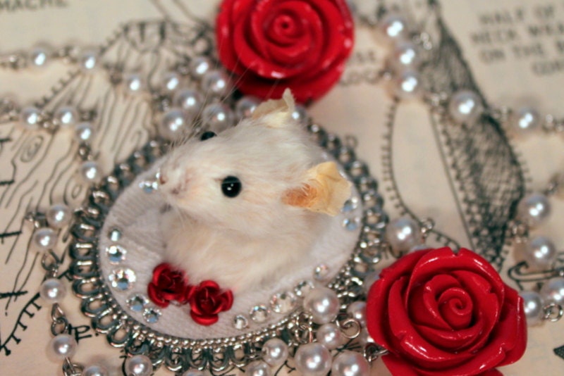 Taxidermy Mouse Necklace with Red Roses