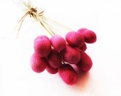 pink colorful home decor, eco friendly, Natural Organic Dyed Silk Cocoons, pink  home decor,gift,15 Pieces
