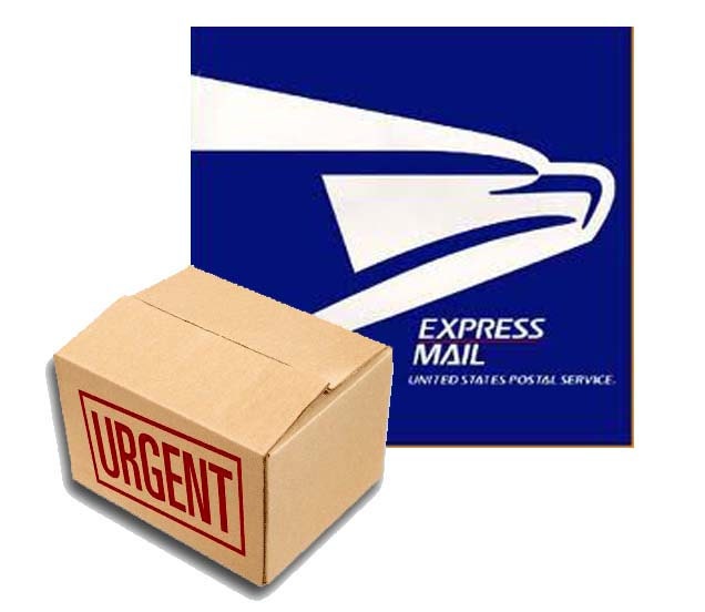 Expedited production with overnight shipping (5-7 days delivery) - Optional service