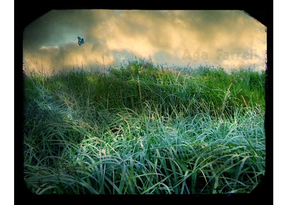 Emerald Green Fields - Dancer on the Wind - Blue butterfly, Blue Grass, Large Print 12x16 - Fantasy Art, Fairyland, Gold Sky
