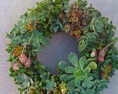 Succulent living wreath 13" - Succulent Wreath, Ship date June 24th