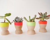 Mini Planters set of 4, Neon, Natural Wedding, Spring Decor, Succulents