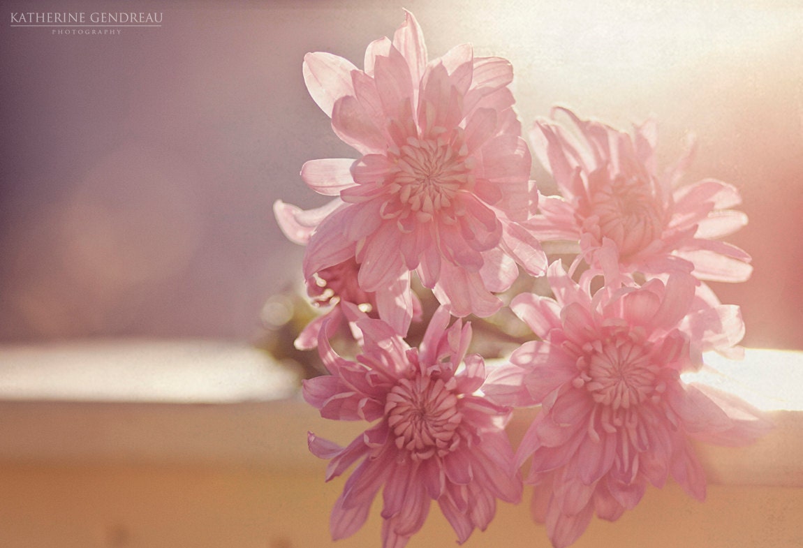 Girls Bedroom Canvas Gallery Wrap Purple Pink Flowers Warm Sunshine Sunlight Glow Nursery Romantic Love Photo Print Home Decor Wall Art