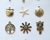 Add a Charm to a purchased necklace
