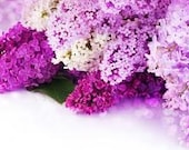 1/2oz Natural Lilac Perfume Oil, Fragrance Oil, Lilac Fragrance Oil, Lilac Perfume Oil, Lilac Scent