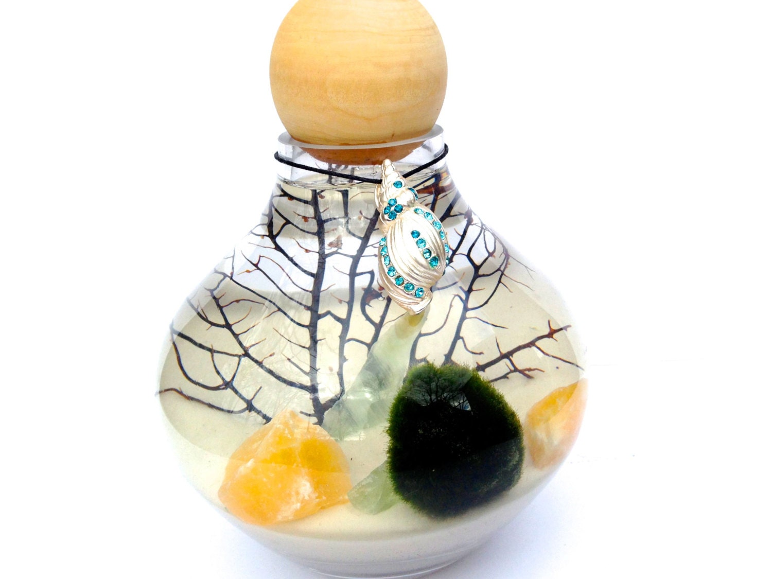 Zen Marimo terrarium live japanese marimo moss ball fluorite healing terrarium