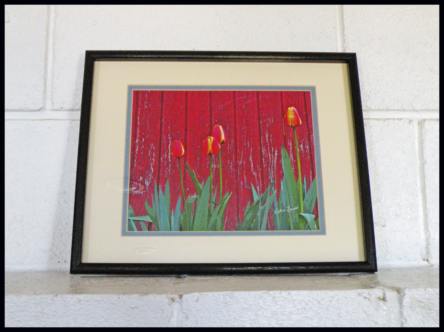 Framed Art: Tulips at the Farm No. 2