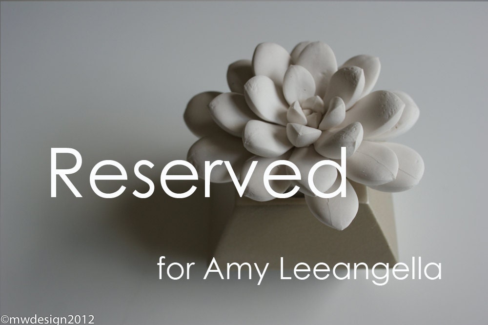 Reserved Wedding Registry Item for Amy