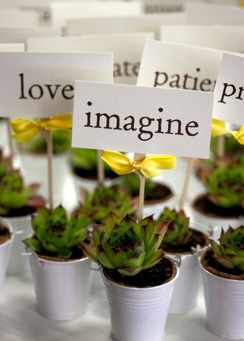 Succulent Wedding favors / Party Favors / name holders / table numbers / shower gifts /  CUSTOM TAGS INCLUDED.