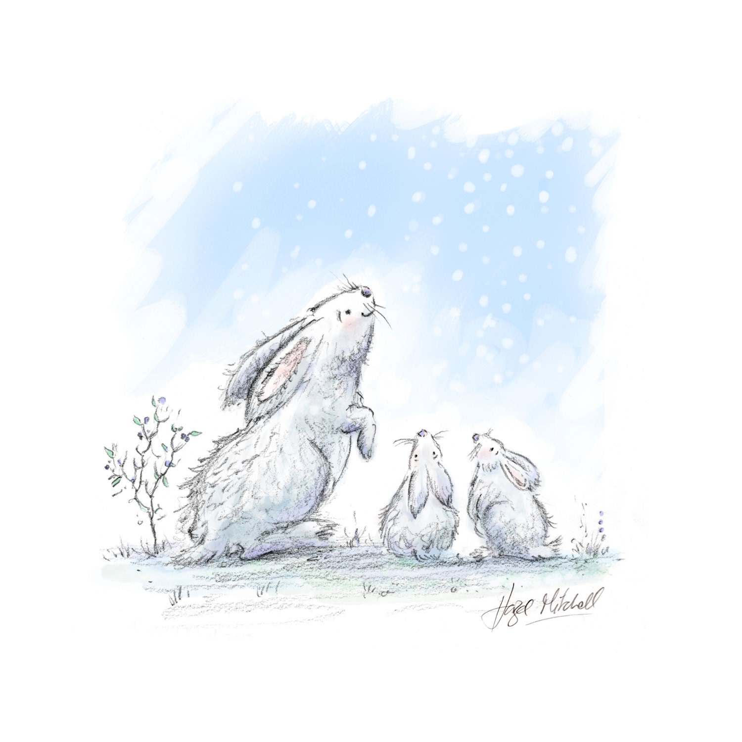 Snow Bunnies