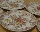Nasco "Rose Arbor" - Set of Five Dessert Plates