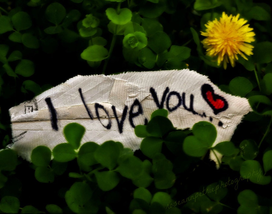 11x14".. Sending My Love, in a letter..fine art photography..nature inspired..springtime..mother's day ..home decor..home decor print