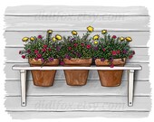 Flowers in pots on a shelf, wooden wall - Printable Digital Illustration for Transfer Prints - Clipart ( 8x10), for DOWNLOAD. Item No.T0027