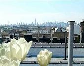Brooklyn NYC Skyline Lilies Landscape NYC - 5x7 Photography